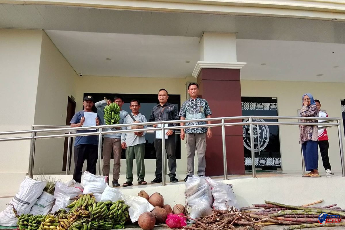 Tak Mampu Bayar Denda Rp 3 Miliar, Tiga Petani Mukomuko Bawa Pisang, Kelapa, dan Ubi ke Pengadilan
