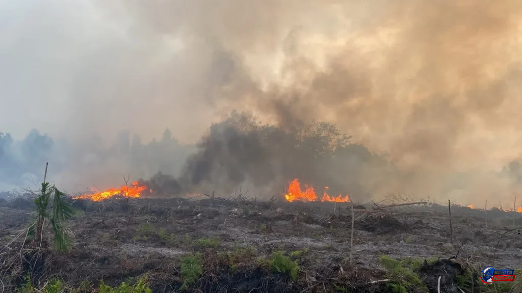 Karhutla Kalimantan Makin Meluas, DPR Desak Pemerintah Ambil Langkah Extraordinary