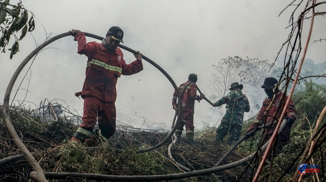 1.104 Hotspot Terdeteksi di Sumatera, Sumsel Terbanyak; Riau Capai 97 Titik