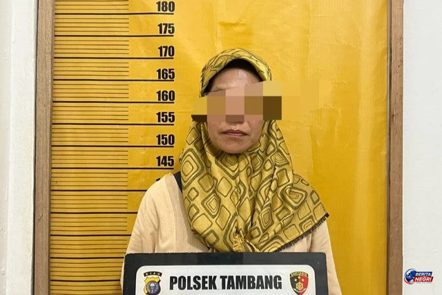 Niat Buka Ladang, Ibu Rumah Tangga di Kampar Bakar Lahan hingga 15 Hektare Terbakar