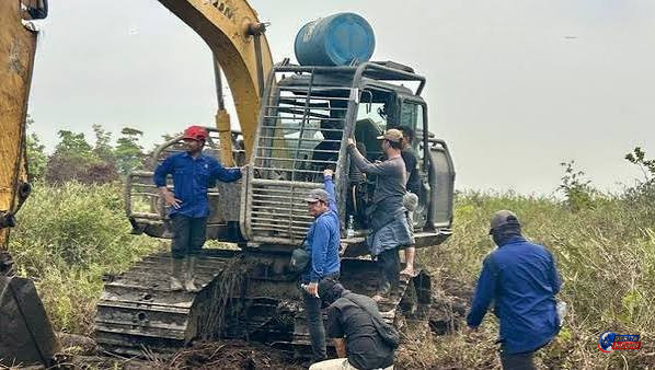 Lahan Bekas Karhutla di Ketapang Disegel, Kementerian Kehutanan Temukan Aktivitas Sawit dan Alat Berat