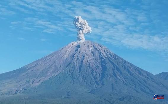 Gunung Semeru Erupsi Empat Kali, Letusan Pagi Ini Capai 1,3 Kilometer