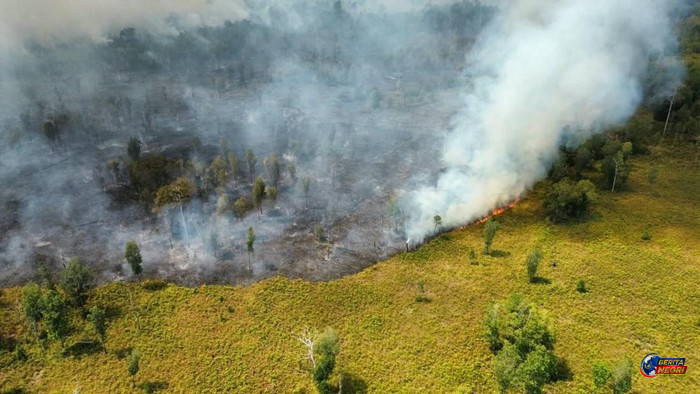 Taman Nasional Tanjung Puting Dikepung Api, Relawan Minta Bantuan Waterbombing