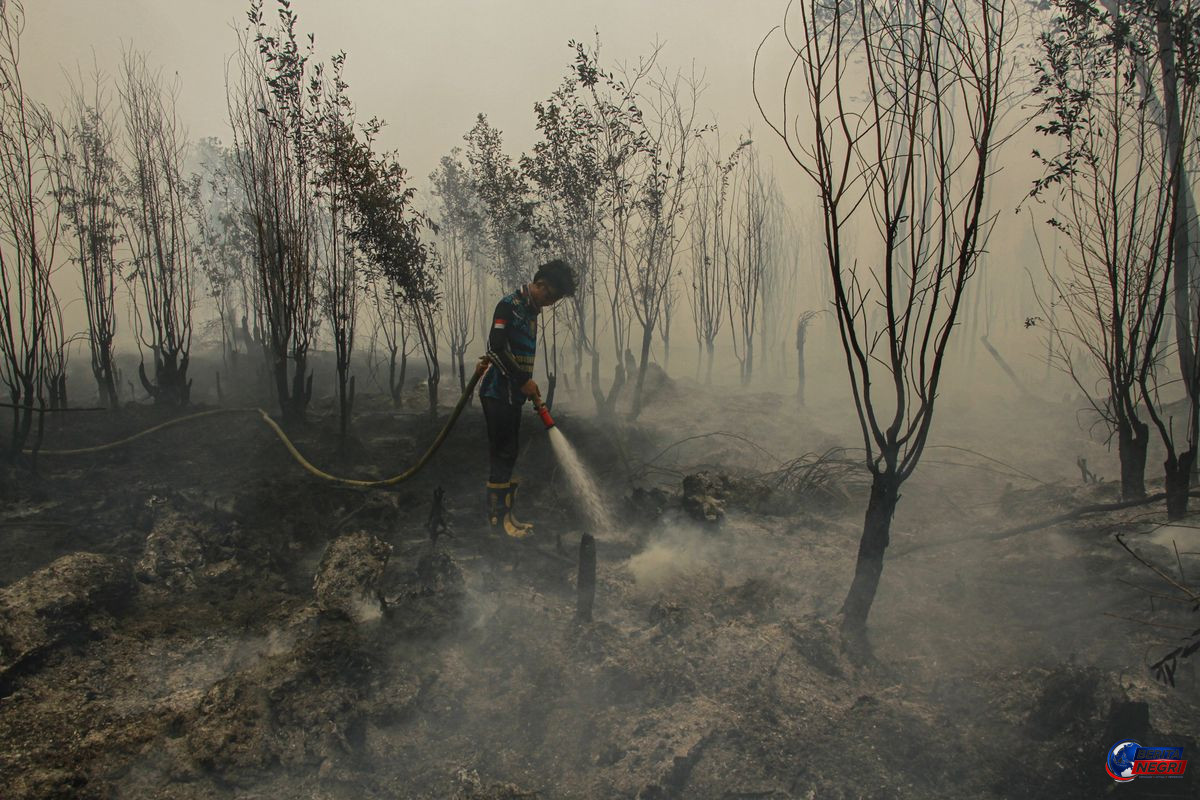 Pemerintah Uji Coba Cairan Pemadam Bantuan Brasil untuk Karhutla di Sumsel dan Kalimantan