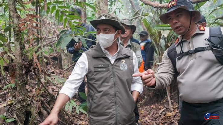 Tiga Tim Dikerahkan Padamkan Karhutla di Taman Nasional Tanjung Puting, Akses 1,8 Kilometer Berhasil Dibuka