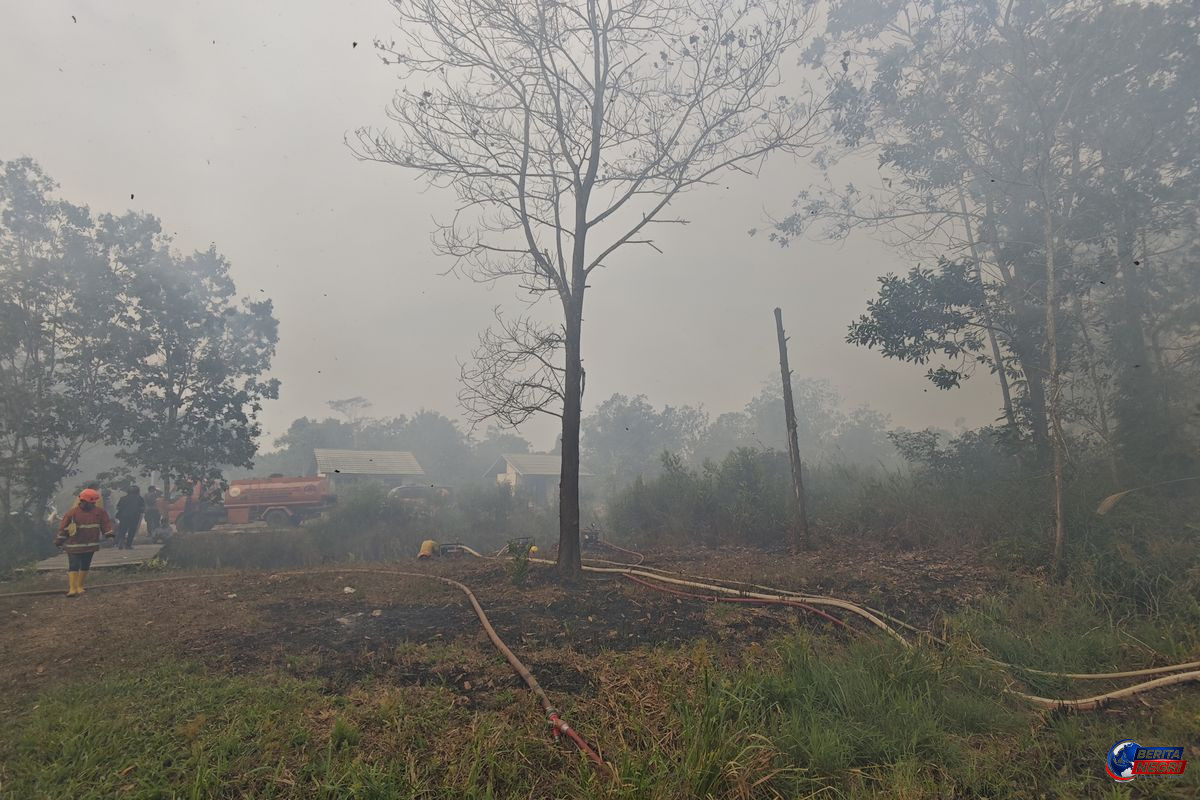 Polri Tetapkan Sembilan Korporasi Sawit sebagai Tersangka Karhutla di Kalimantan